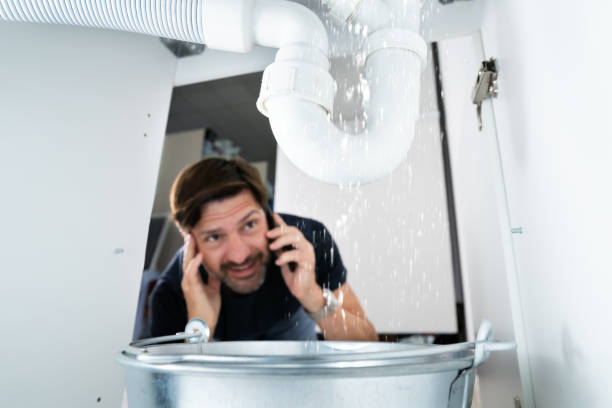 Best Local Plumber Services  in Jan Phyl Village, FL