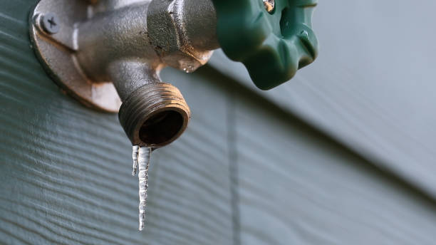 Professional Plumbing in Jan Phyl Village, FL