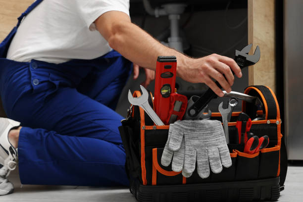 Best Clogged Drain Plumber  in Jan Phyl Village, FL