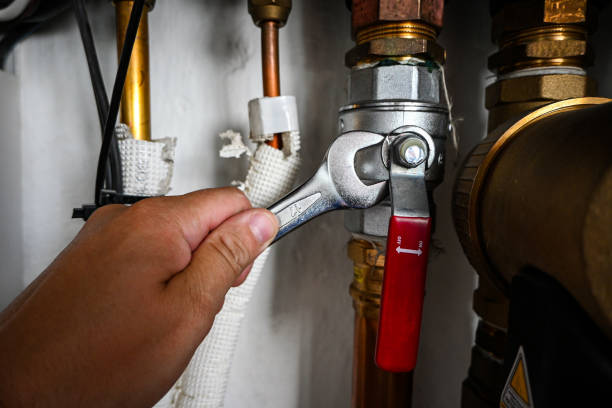 Best Residential Plumbing Services  in Jan Phyl Village, FL